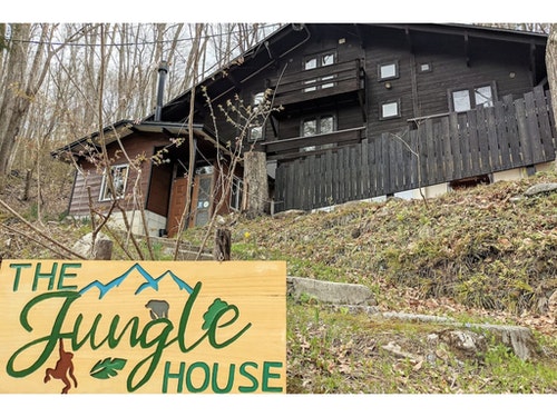 Jungle House ＾